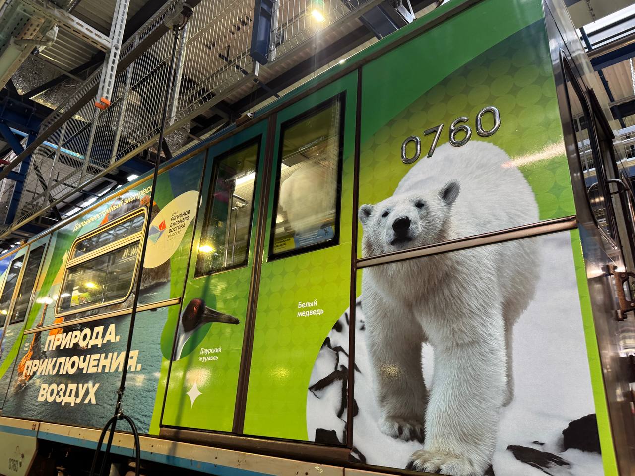 В московском метро в восьмой раз стартовал уникальный брендированный состав, посвященный Дальнему Востоку В московском метро в восьмой раз стартовал уникальный брендированный состав, посвященный Дальнему Востоку