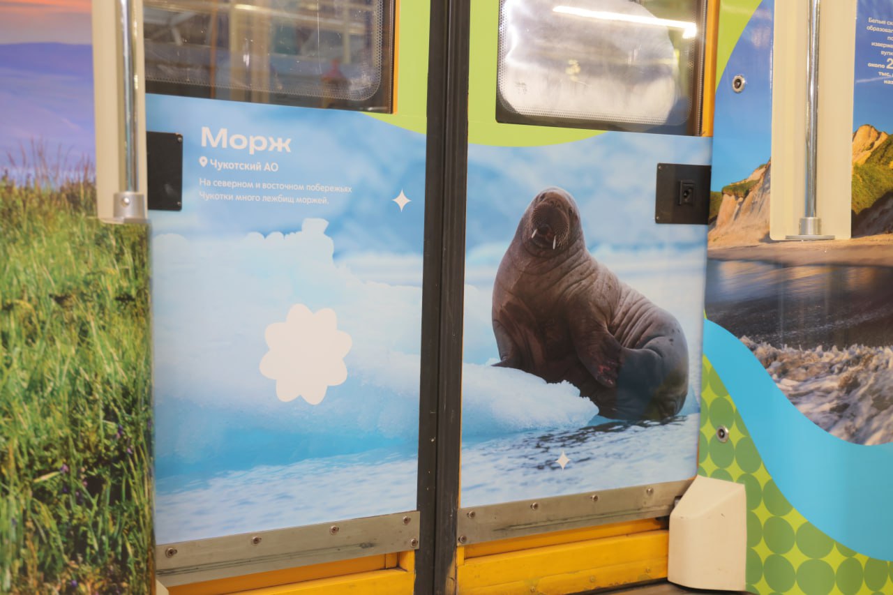 Специальный брендированный поезд «Дальневосточный экспресс» в восьмой раз вышел на линию московского метро Специальный брендированный поезд «Дальневосточный экспресс» в восьмой раз вышел на линию московского метро