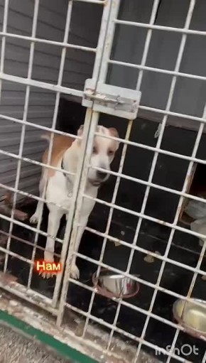 В их глазах — целая вселенная надежды