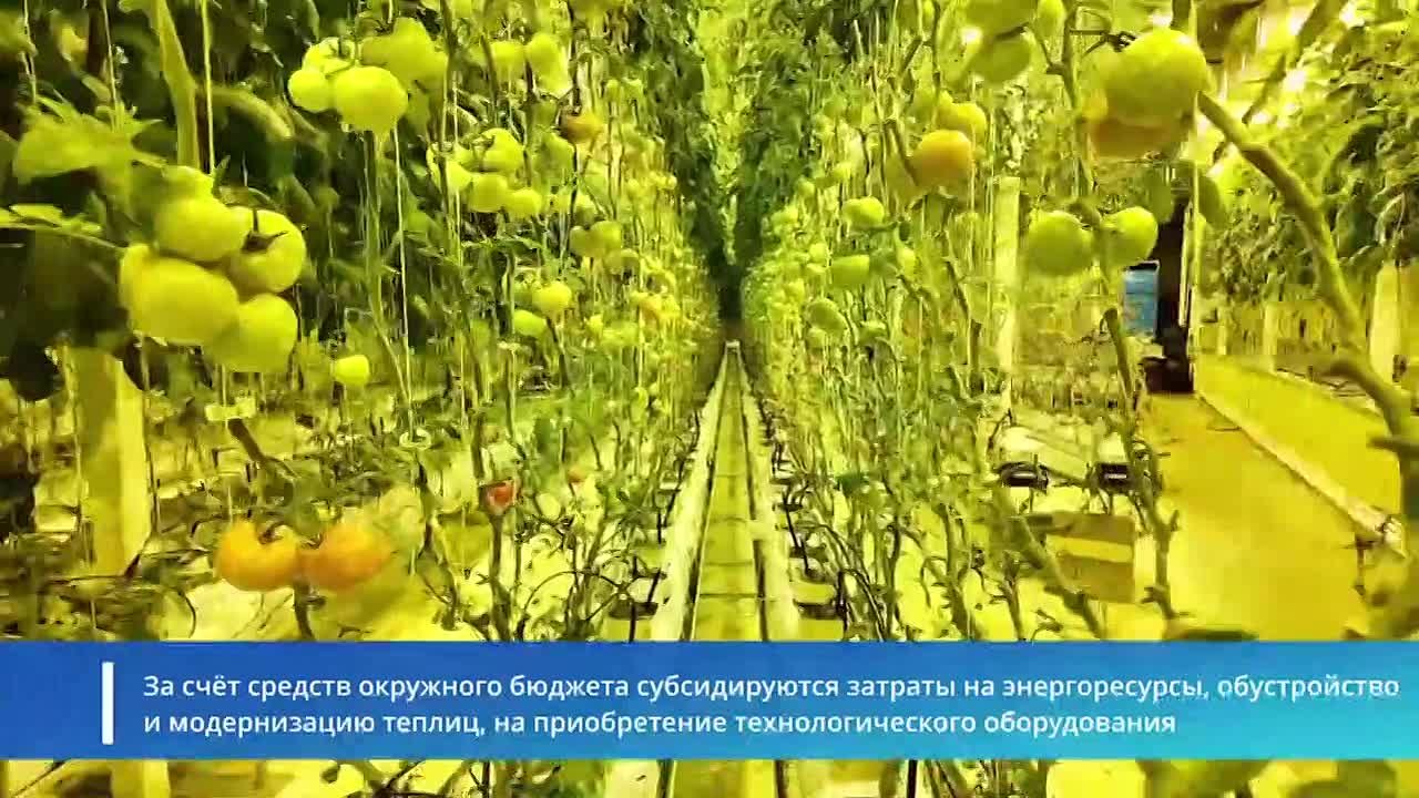 Чукотка усиливает продовольственную безопасность благодаря реализации поручений Президента