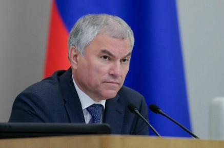 Володин предложил регионам больше регулирования трудовой миграции