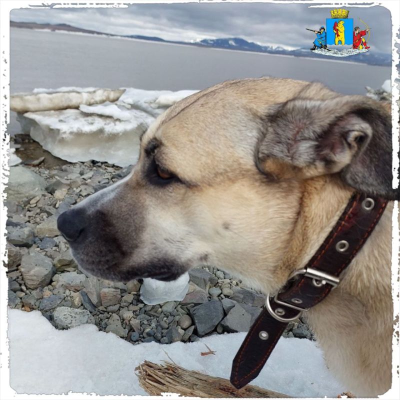  !.    2025        29     