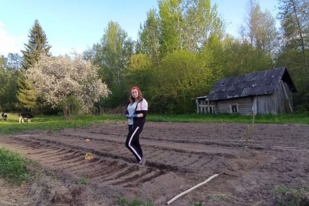 Правильное размещение овощей на огороде