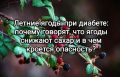 Летние ягоды при диабете: какие из них полезны и как их употреблять