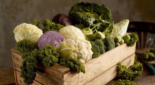 Капуста: полезные свойства и кулинарные секреты