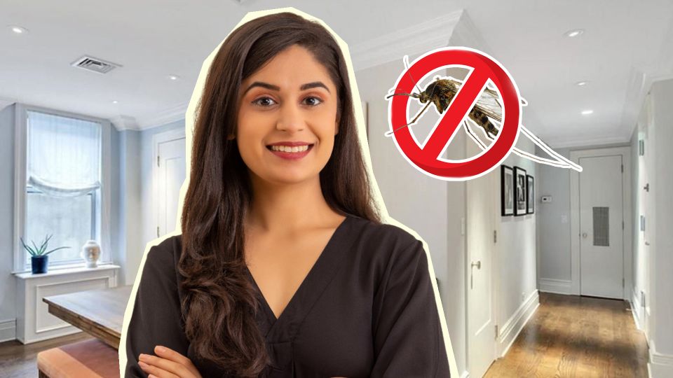 Мимо не пролетит ни один комар: вот как избавиться от насекомых