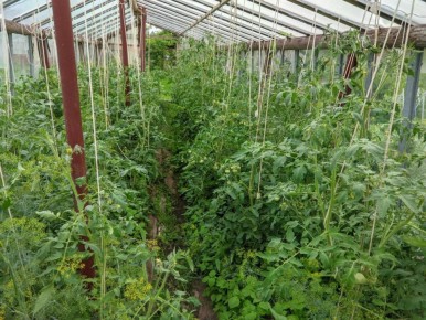 Непередаваемые правила дачного отдыха: что следует знать, чтобы избежать штрафов