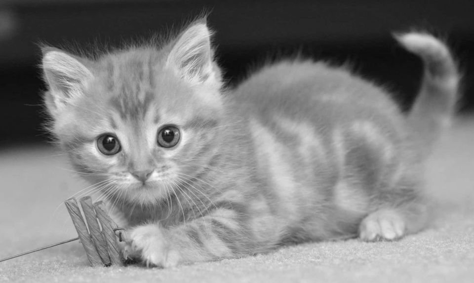 Как развить интуицию и проверить свое шестое чувство: уникальный тест