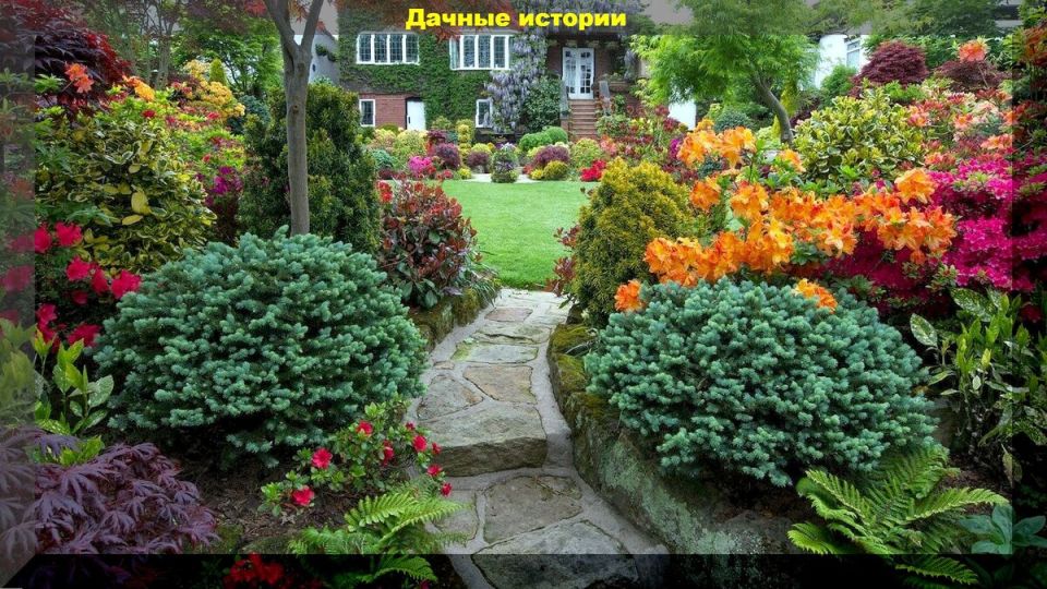 Создание идеального цветника: творческие советы для вашего садового рая