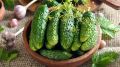 Горечь у огурцов исчезнет в два счета: улучшить вкус поможет этот забавный лайфхак