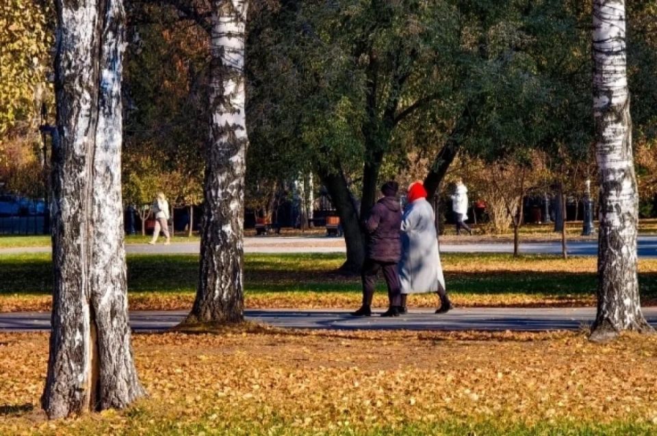 Новые законы для томичей: что изменится в ноябре 2025 года