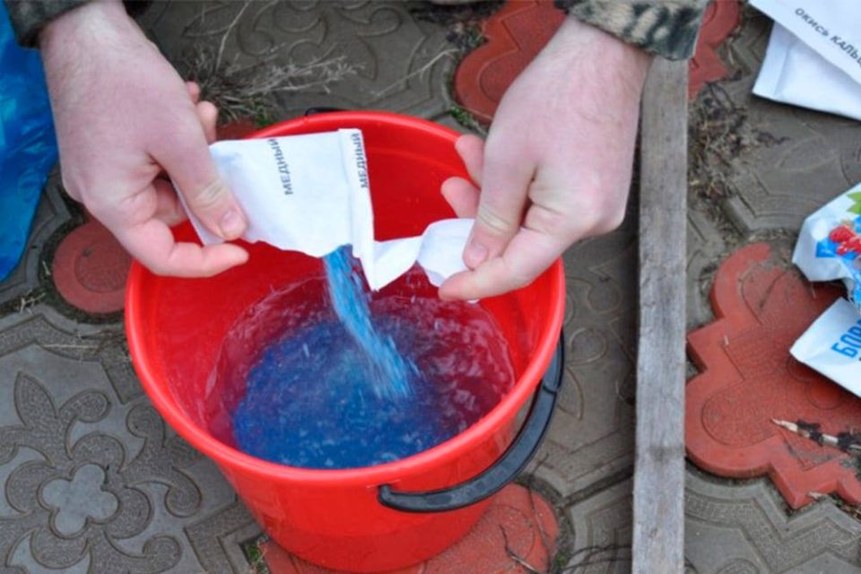 Ошибки обработки медным купоросом: как сохранить здоровье сада осенью