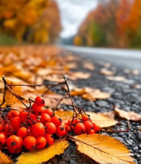 На пороге надежды: родственники Оли готовятся к важному медицинскому этапу