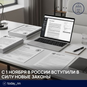 Что нового в российских законах с 1 ноября: важные изменения, которые не стоит игнорировать
