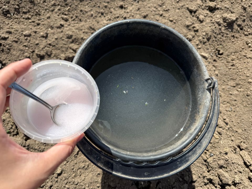 Уникальный способ борьбы с сорняками: уксус как ваш лучший помощник