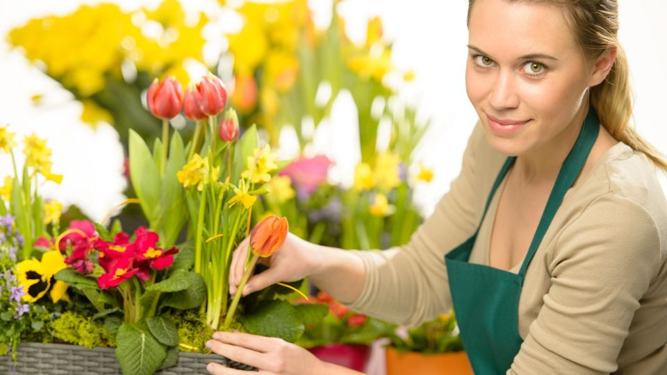 Паразиты к цветам больше не сунутся: поможет копеечное средство, которое всегда есть на кухне