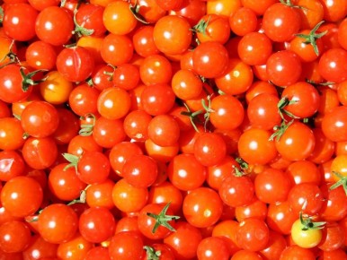 Томаты-черри: как выбрать идеальный сорт для вашего стола