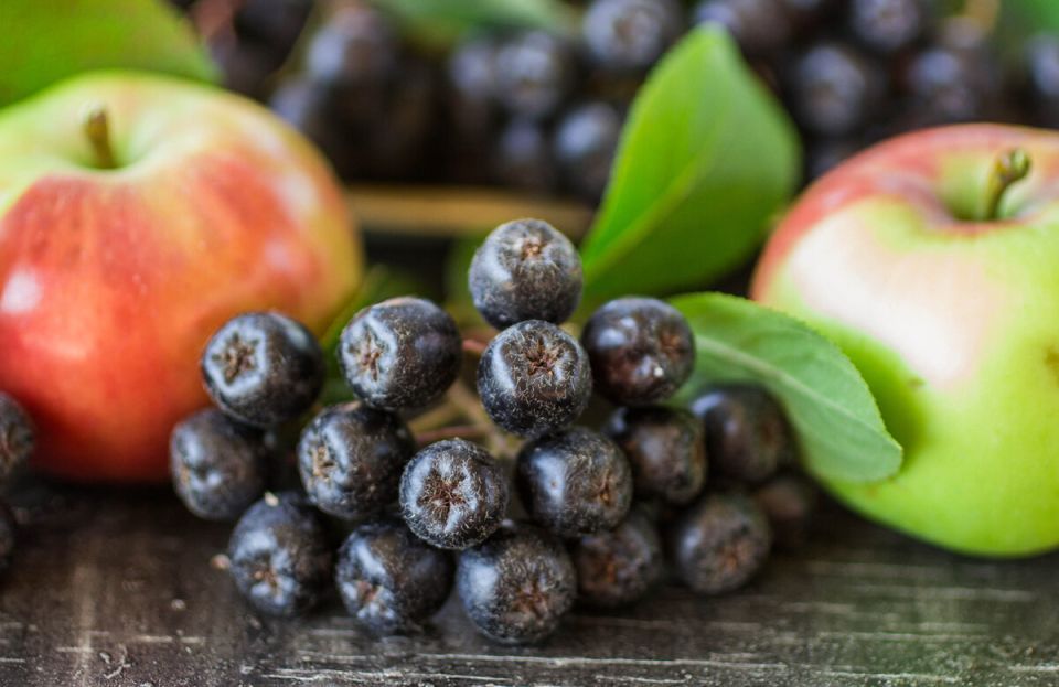 Пять восхитительных идей, как сохранить черноплодную рябину на зиму и насладиться ее вкусом
