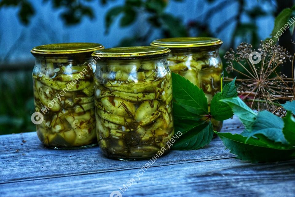 Кабачки в банках: секреты заготовок, которые покорят ваши вкусовые рецепторы