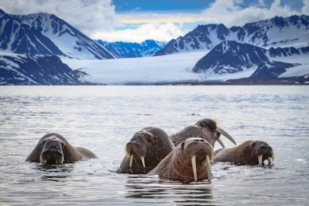 Чукотка вошла в ТОП-5 самых быстрорастущих туристических направлений страны