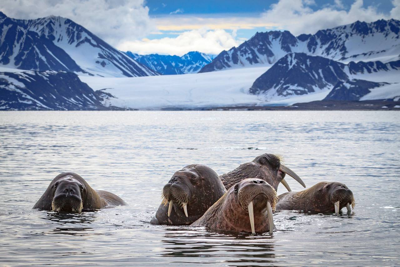 Чукотка вошла в ТОП-5 самых быстрорастущих туристических направлений страны