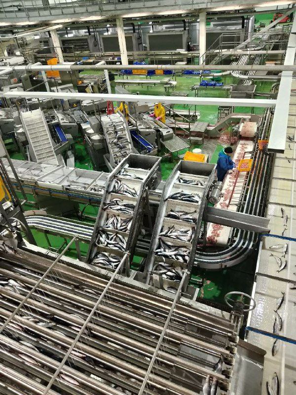 Перспективы развития ветеринарии обсудили на межрегиональной конференции ветврачей ДФО Перспективы развития ветеринарии обсудили на межрегиональной конференции ветврачей ДФО