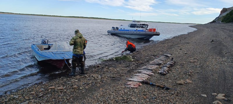 На Чукотке направлено в суд уголовное дело в отношении браконьера На Чукотке направлено в суд уголовное дело в отношении браконьера