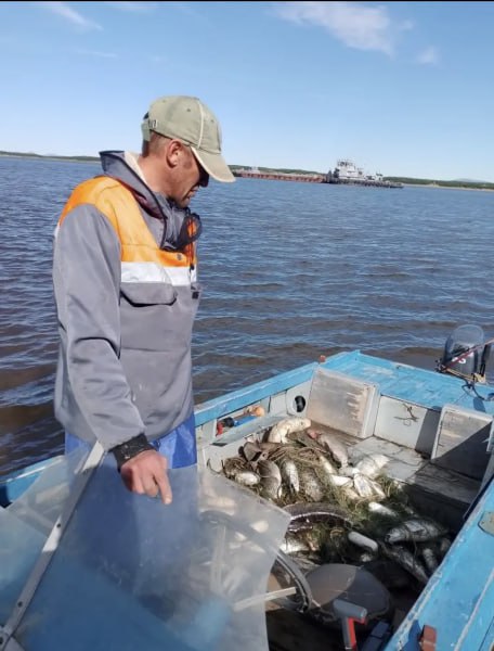 На Чукотке направлено в суд уголовное дело в отношении браконьера На Чукотке направлено в суд уголовное дело в отношении браконьера
