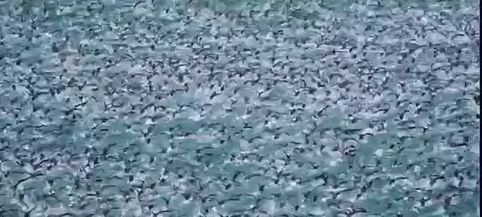 ���������� ����������� ������������ ���������� ����� ���� ��������!