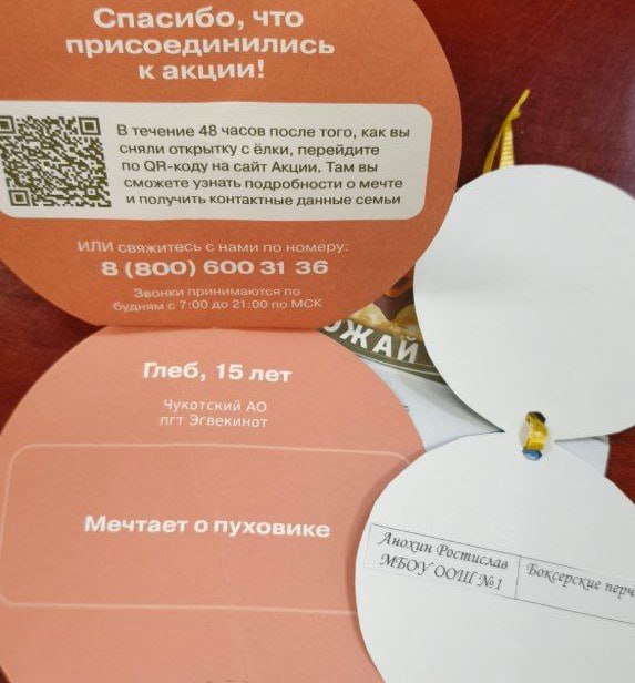 Глава Анадыря Сергей Спицын исполнит новогодние желания детей в рамках акции "Ёлка желаний" Глава Анадыря Сергей Спицын исполнит новогодние желания детей в рамках акции "Ёлка желаний"