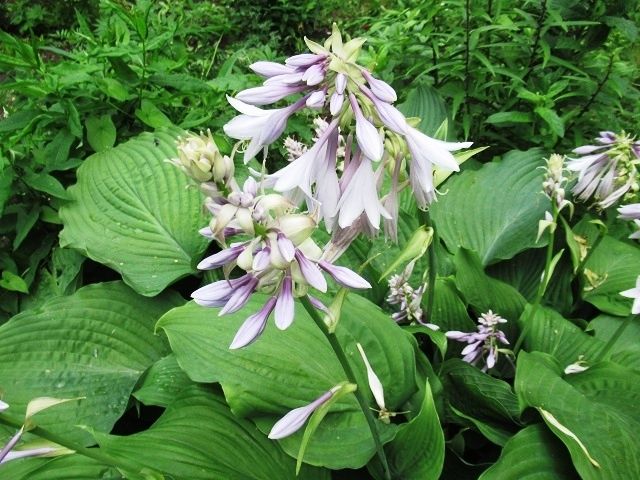 ��������� ����� � �������: ������ ��� ��������� ��������