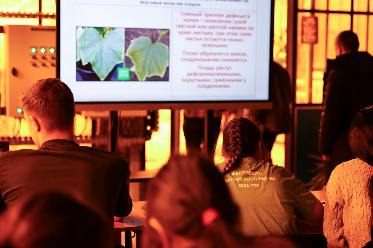 На Чукотке открылась новая теплица комплекса «Живая зелень» На Чукотке открылась новая теплица комплекса «Живая зелень»