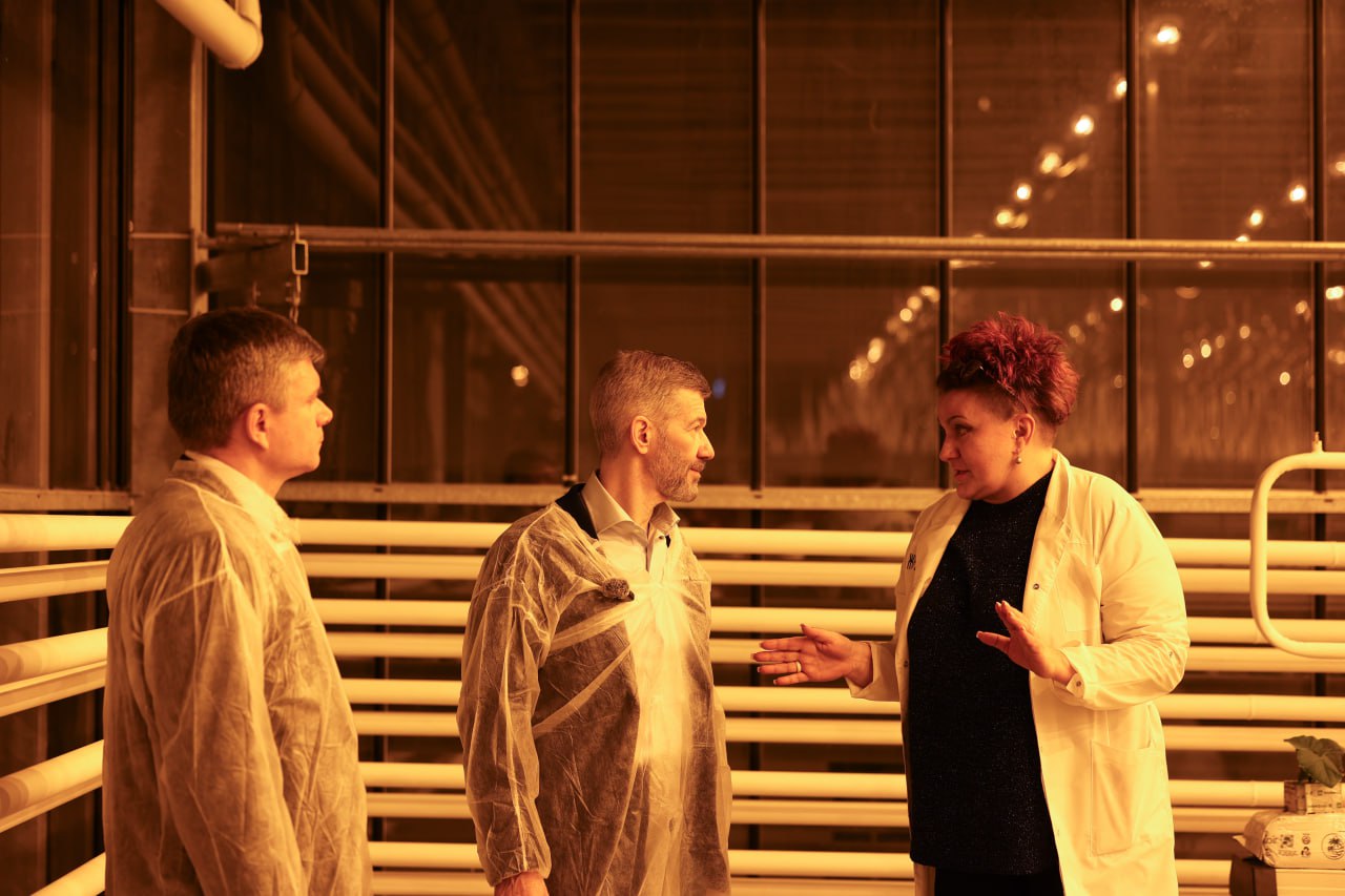 На Чукотке открылась новая теплица комплекса «Живая зелень» На Чукотке открылась новая теплица комплекса «Живая зелень»