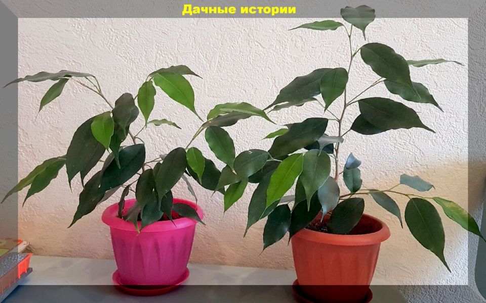 ������: ��� ��������� �� ������� ������ � ������� ����� �������� ����