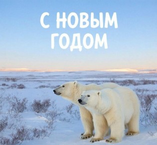 �� ������� ��������� ������� �� ������ ���������� ��������