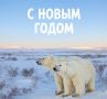 На Чукотке стартовал конкурс на лучшую новогоднюю открытку