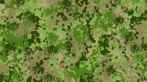 ��� ����������� �� ������� ������ �� ��������� ����������� �� ���������: