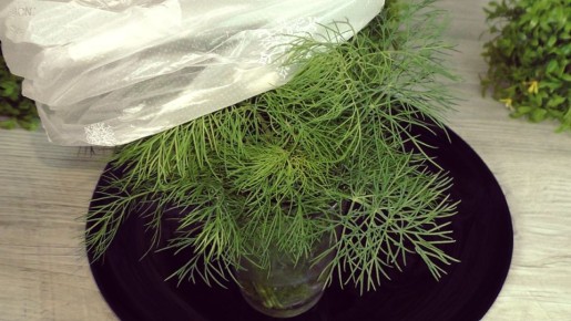 ����� �������� ������: ��� ��������� �� �� ���������