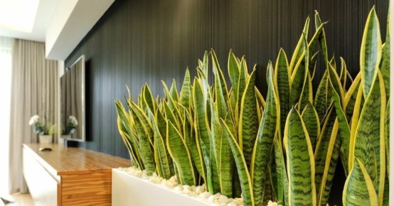 ���� ��� ����: 5 ��������� ��������, ������� �������� ����