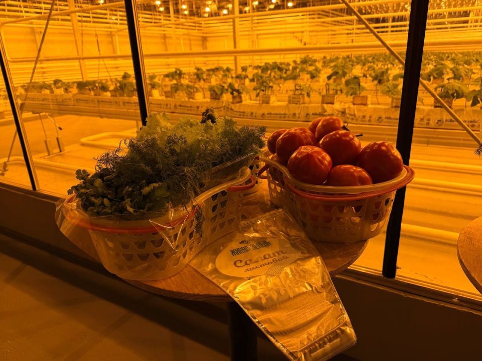 ���������� ������� ��������� ������������ �� ������������ ��������� ������ �� 1,8 ��� ������