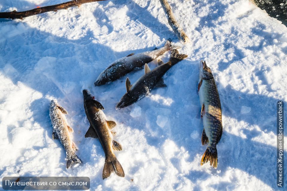 ������� ������� �����: ��� ���� �� �������� ������