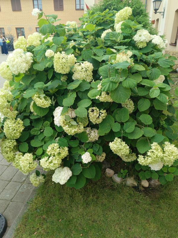 ����� �� ������: ���� ��������, ��� ����� ������� � ����� ��������