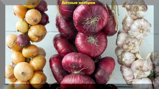 ����������� ������� �������� ���� � �������