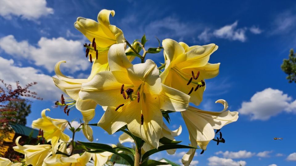 ���������� �����: ������������ �������� ��� ���������