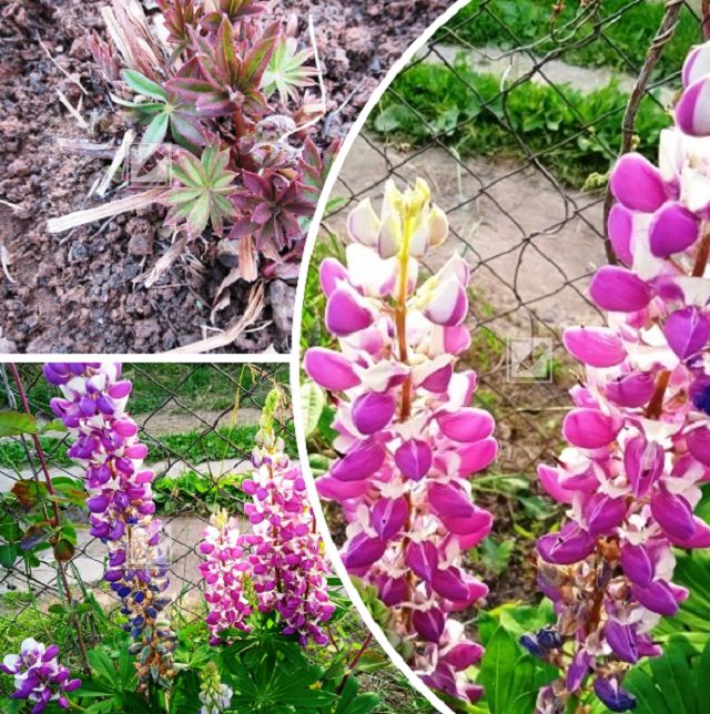 �����: ��� ������������ ������ � �������� ����� ������ ��� ���������� ����� ���������