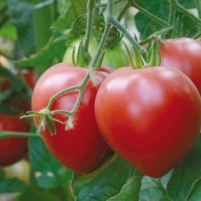 ����� 100 ���������: ��� �������� ������ � ���������