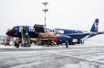 ����������� ��������� �������� ����������� � ������� ������� �������� ��������� ������ � ��������� ��������� ������ �� ��������� �� 29 ������� 2025 �