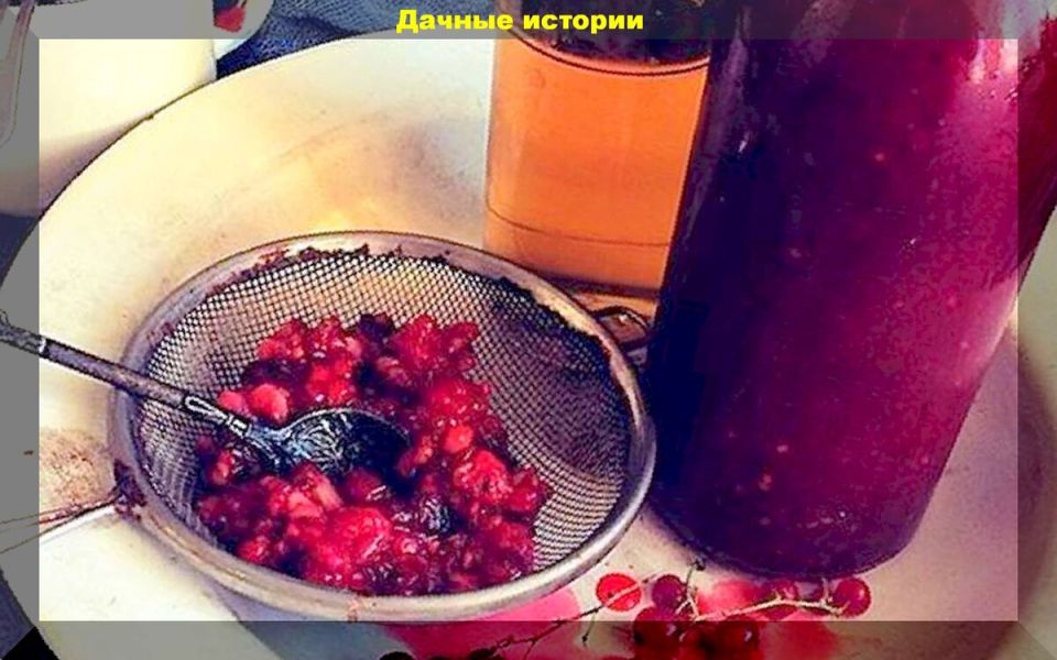 ��� ������ ����������� �������: ������������ ����������� ������