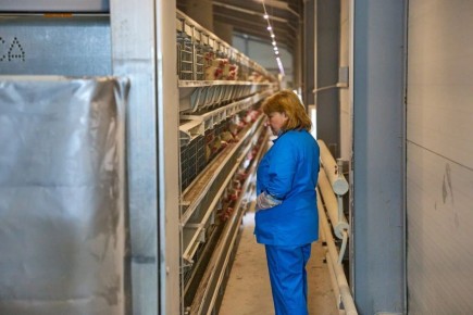 ����������� ���������� ������������ ��������, ���������� ����� ����������� � ����������� ���� �������� ��� ����������������� � ���������� ���������