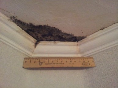 Как избежать покупки квартиры с проблемами